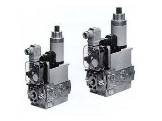 Dungs gas valve - 12